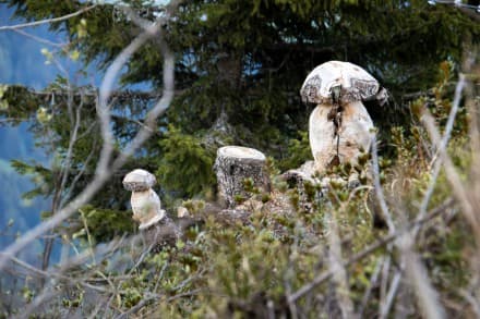 Oberallgäu: Kunst am Berg (Obermaiselstein)