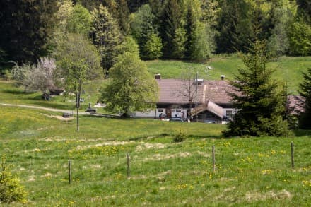 Oberallgäu: Berggasthof und Pension Buhls Alpe (Gunzesried)