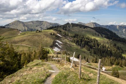 Oberallgäu: Bleicher Horn und Höllritzer Horn über den Mittelberg (Gunzesried)