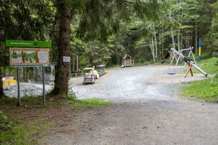 Oberallgäu: Auf der Fährte des schlauen Fuchses (Wertach)