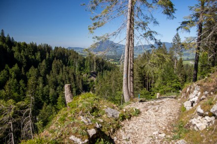 Oberallgäu: Königsweg (Obermaiselstein)