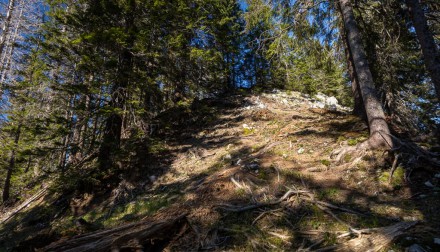 Oberallgäu: Geiswiedenkopf (Obermaiselstein)