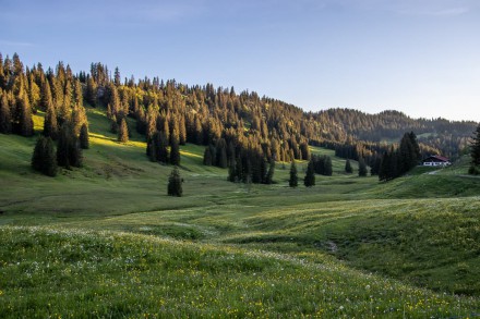 Oberallgäu: Lochbachtal (Obermaiselstein)