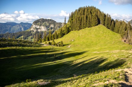 Oberallgäu: Hühnermoos (Sonthofen)