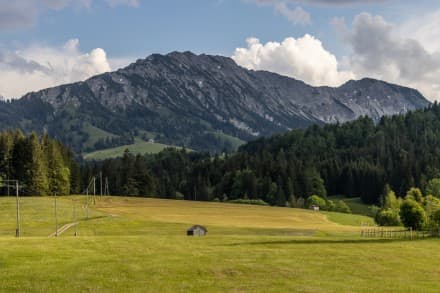 Iselergruppe (Kühgundkopf, Kühgundspitze und Iseler)
