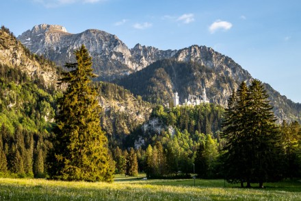 Ostallgäu: Rundtour um den Säuling mit Älpeleskopf und Gassenthomaskopf (Füssen)