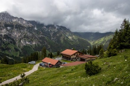 Tannheimer Tal: Krinnealpe (Nesselwängle)