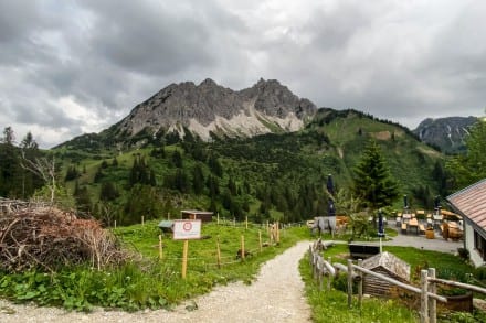 Tannheimer Tal: Krinnenalpe, Edenalpe Nesselwängle und Gräner Ödenalpe (Nesselwängle)