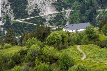 Tannheimer Tal: Strindenalpe (Tannheim)