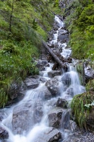 Tirol: Wanderpfad zur Hochstanzer Alpe (Älpele (1.744m) (Forchach)