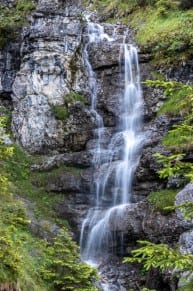 Tirol: Von Forchach hoch zur Älpele. (Forchach)