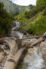 Ammergauer Berge: Roggentalbach (Graswang)