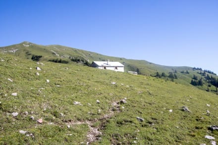 Tirol: Alpe (Rinnen)