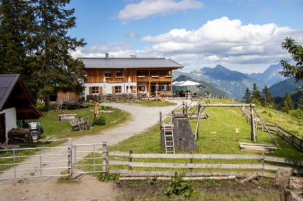 Tirol: Ehenbichler Alm (1.690m) (Rinnen)