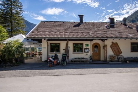 Tirol: Musteralpe (Plansee)