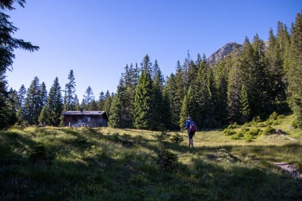 Tirol: Zwerchenbergalpe (Plansee)