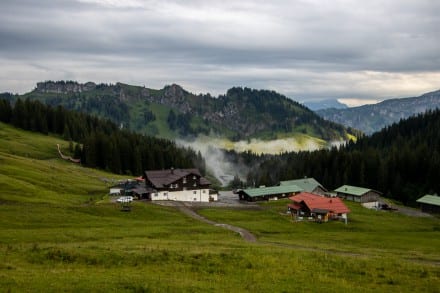 Oberallgäu: Grasgehren (Grasgehren)