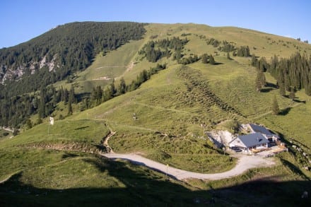 Tannheimer Tal: Krinnenspitze (Nesselwängle)