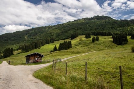 Oberallgäu: Wolfskopf (Trauchgau)