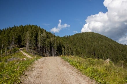 Blick zum Wolfskopf 
