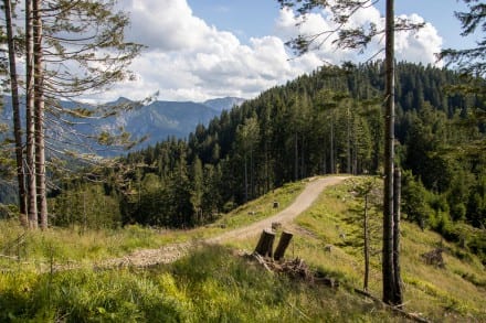 Oberallgäu: Der Wolfskopf bei Trauchgau (Trauchgau)