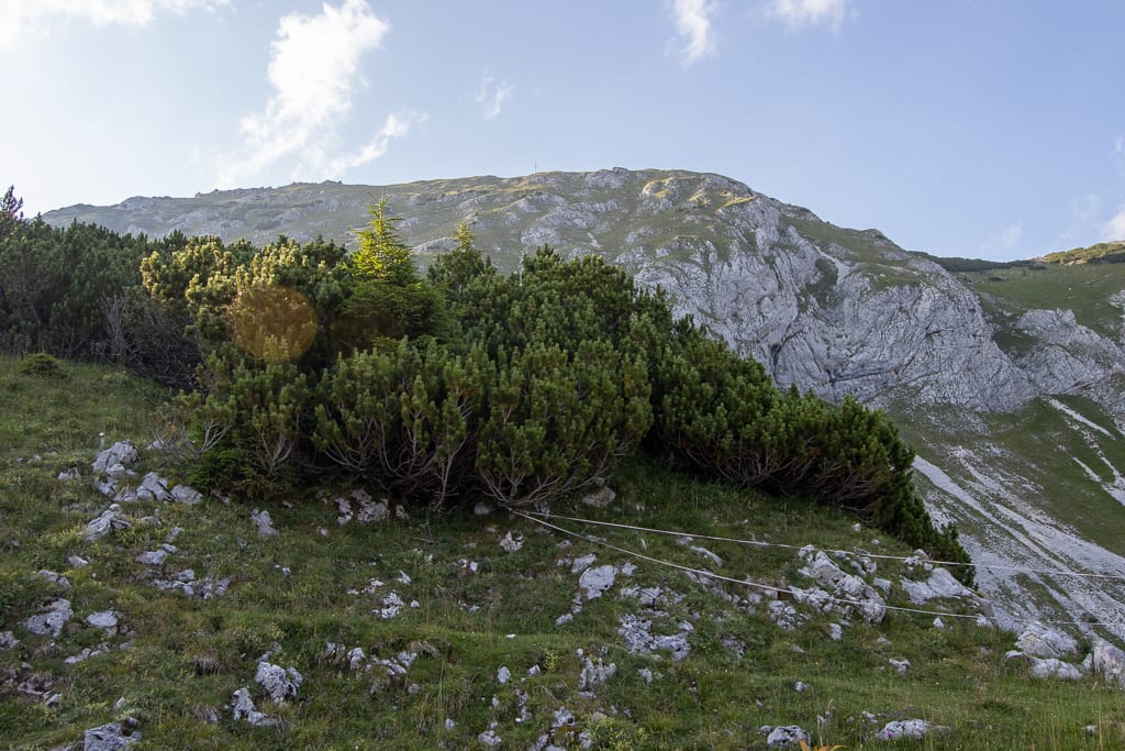 Die Große Schlicke von Musau aus (Reutte - Tirol / 2020)
