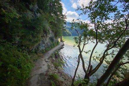 Vom Weiensee zur Burgruine Falkenstein
