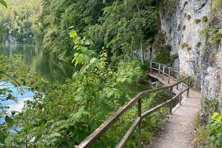 Ostallgäu: Hugo-Ludwig-Steg (Pfronten)