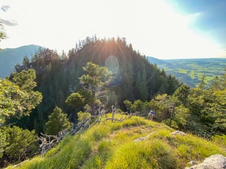 Ostallgäu: Vom Weißensee zur Burgruine Falkenstein (Pfronten)