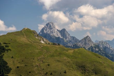 Tannheimer Tal: Krinnenspitze (Nesselwängle)