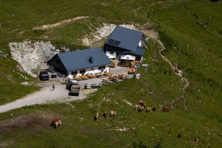 Tannheimer Tal: Gräner Ödenalpe (Nesselwängle)