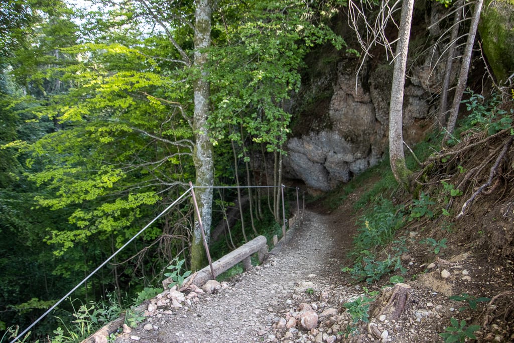 Immenstädter und das Gschwender Horn Rundtour (Immenstadt - Oberallgäu / 2020)
