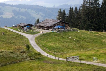 Oberallgäu: Alpe Gschwendenberg (Immenstadt)