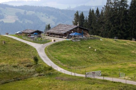 Oberallgäu: Alpe Gschwendenberg (Immenstadt)