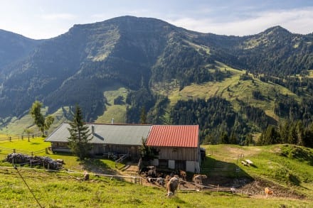 Oberallgäu: Tour (Oberstaufen)