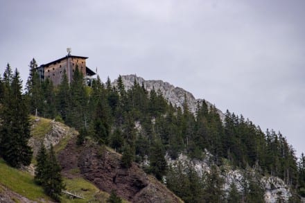 Gimpel, Rote Flh und der Hochwiesler