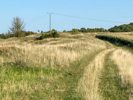 Nördlinger Ries: Schanze nahe Reimlinger Berg (Nördlingen)