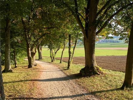 Nördlinger Ries: Marienhöhe (Nördlingen)