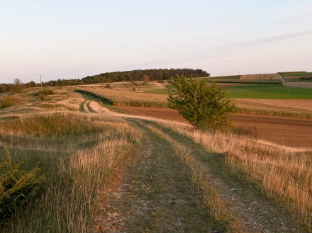 Nördlinger Ries: Tour (Nördlingen)