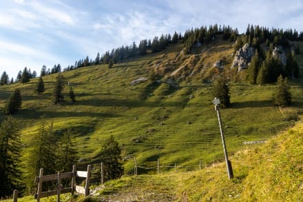 Oberallgäu: Spieser und Großer Hirschberg (Bad Hindelang)