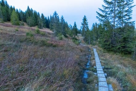 Oberallgäu: Maximiliansweg (Bad Hindelang)