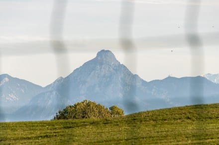 Grünten (1.738m)
