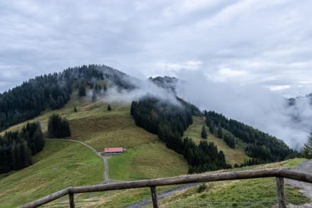 Oberallgäu: Ofterschwanger Horn (Sonthofen)