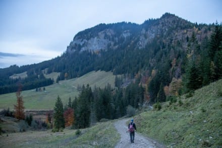 Oberallgäu: Imberger Horn, Zwölferkopf und der Strausberg (Bad Hindelang)