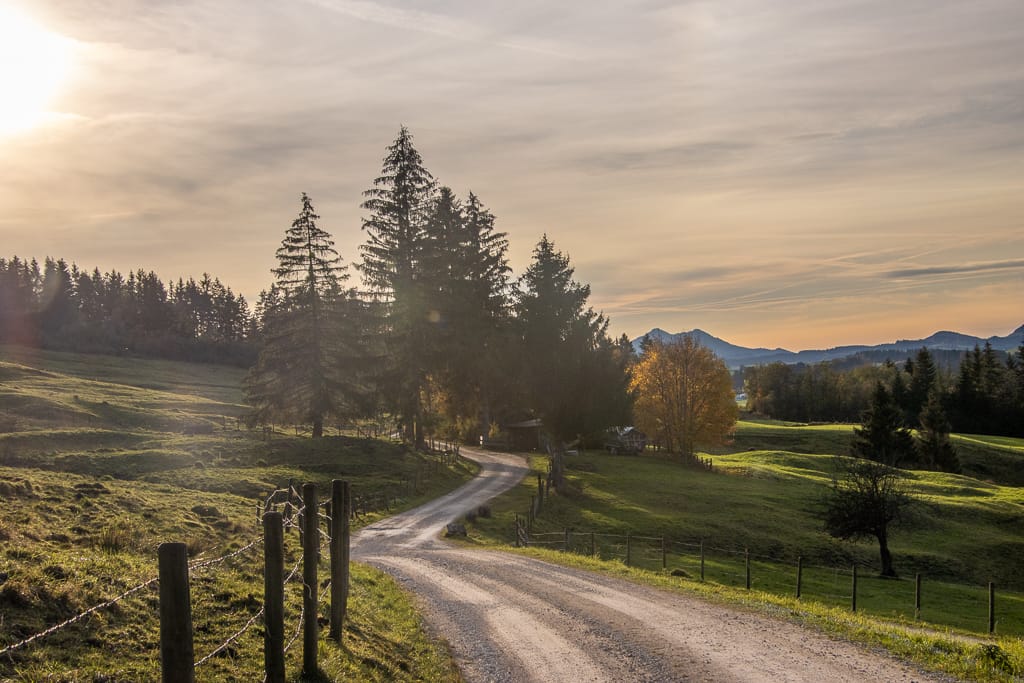 Hochrieskopf - Wolfskopf - Schwarzeck - Niederbleick - Hohe Bleick (Halblech - Oberallgäu / 2020)