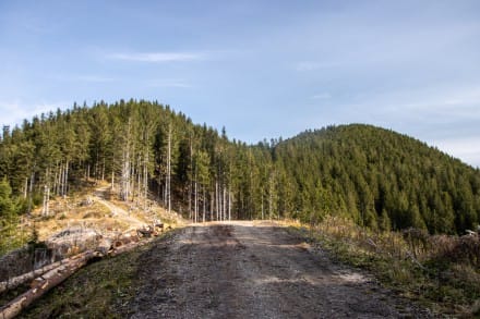 Oberallgäu: Hochrieskopf - Wolfskopf - Schwarzeck - Niederbleick - Hohe Bleick (Halblech)