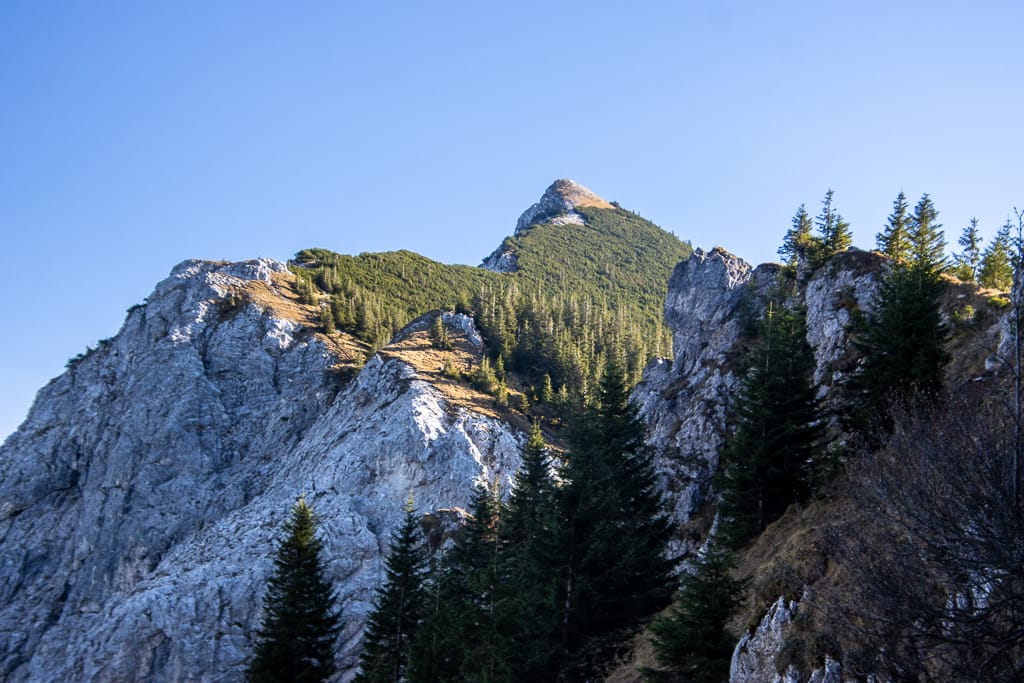 Rundtour über die Reichenbachklamm, Brentenjoch, Rossberg, Aggenstein und Breitenberg (Pfronten - Ostallgäu / 2020)