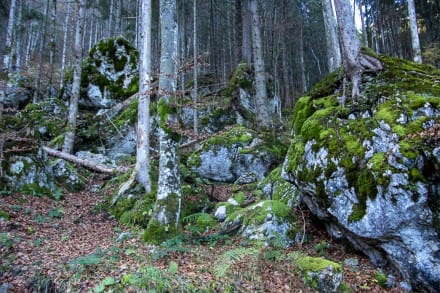 Ostallgäu: Reichenbachklamm (Pfronten)