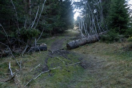 Oberallgäu: Höhenweg (Immenstadt)