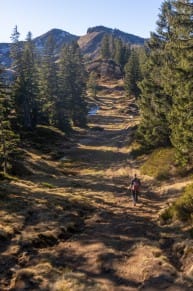 Oberallgäu: Hörnergruppe - 9,5 Gipfel Tour (Gunzesried)